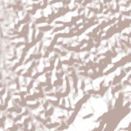 Cachoeira Paulista Terrain Map