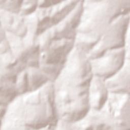 Centenário do Sul Terrain Map