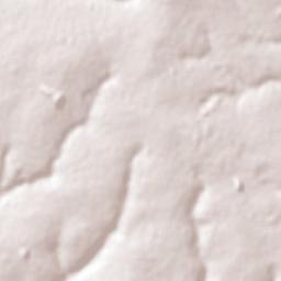 Palmital Terrain Map