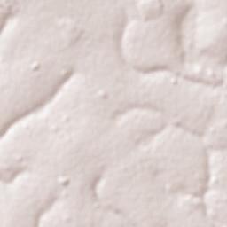 Ibirarema Terrain Map