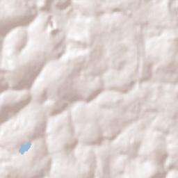 Paulínia Terrain Map