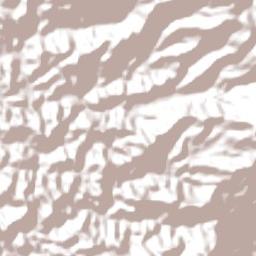 Santo Antônio do Pinhal Terrain Map