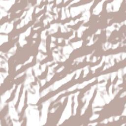 Rio Claro Terrain Map