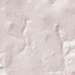 Aral Moreira Terrain Map