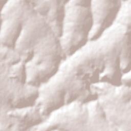 Santa Cruz do Rio Pardo Terrain Map