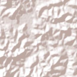 Tuiuti Terrain Map