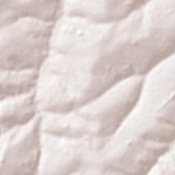 Cruzeiro do Sul Terrain Map