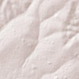 Santa Cruz de Monte Castelo Terrain Map