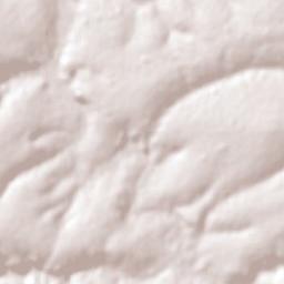 Flórida Terrain Map