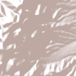 El Aguilar Terrain Map