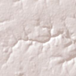 Capitán Bado Terrain Map