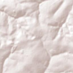 Presidente Castelo Branco Terrain Map