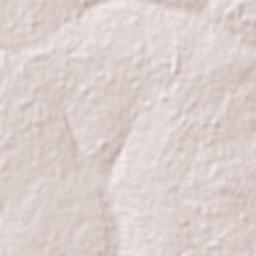 Horqueta Terrain Map
