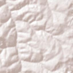 Rondon Terrain Map