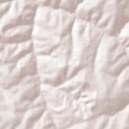 Tapejara Terrain Map