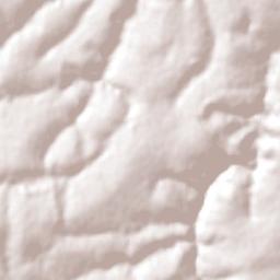 Jussara Terrain Map