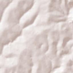Floresta Terrain Map
