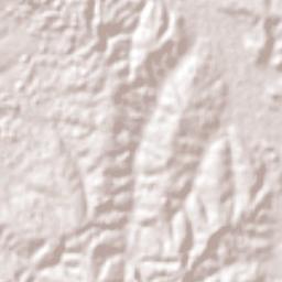 Jardim Paulista Terrain Map