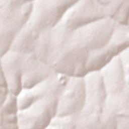 Eldorado Terrain Map