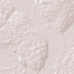 Colonia Nueva Germania Terrain Map
