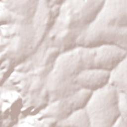 Paranhos Terrain Map