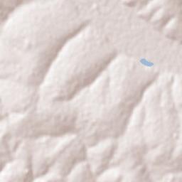 Mundo Novo Terrain Map