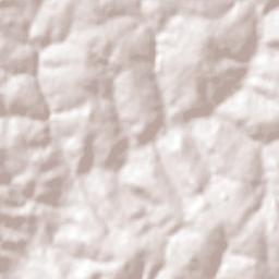 Tuneiras do Oeste Terrain Map