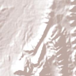 Palma Sola Terrain Map