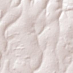 Corpus Christi Terrain Map