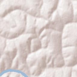 Francisco Alves Terrain Map