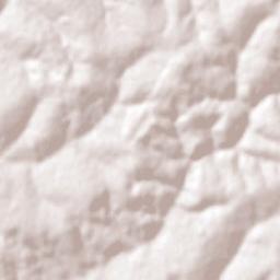 Moreira Sales Terrain Map