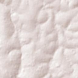 Palotina Terrain Map