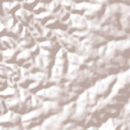 Jardim Alegre Terrain Map