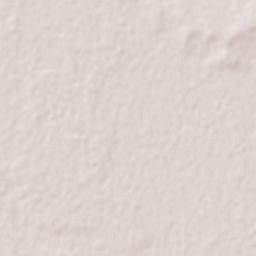 Blackall Terrain Map