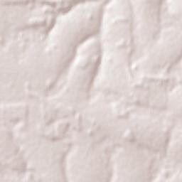 Nueva Esperanza Terrain Map