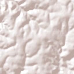 Campina da Lagoa Terrain Map