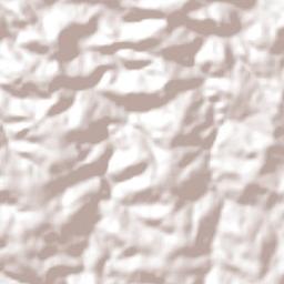 Braganey Terrain Map