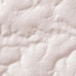 Colonia Minga Porá Terrain Map