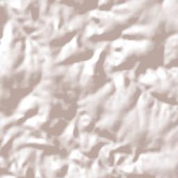 São Pedro do Iguaçu Terrain Map