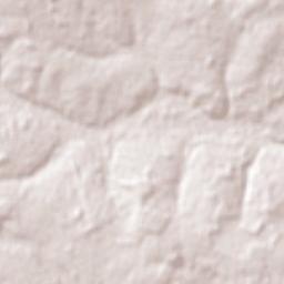 San Joaquín Terrain Map