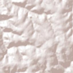 Santa Tereza do Oeste Terrain Map