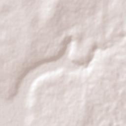 Macia Terrain Map