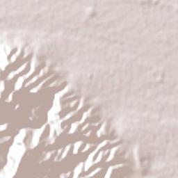 Chicoana Terrain Map