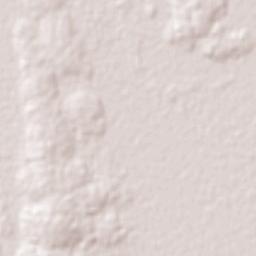 Caraguatay Terrain Map