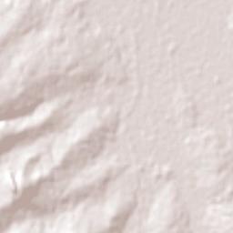Eusebio Ayala Terrain Map