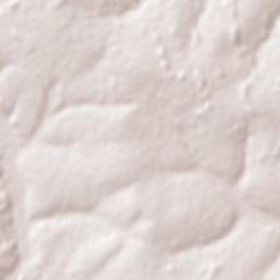 Doctor Juan Manuel Frutos Terrain Map