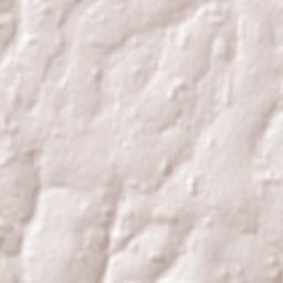 Colonia General Alfredo Stroessner Terrain Map