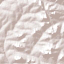 Ehlanzeni District Terrain Map