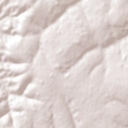 Caaguazú Terrain Map