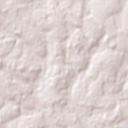 Doctor Juan León Mallorquín Terrain Map